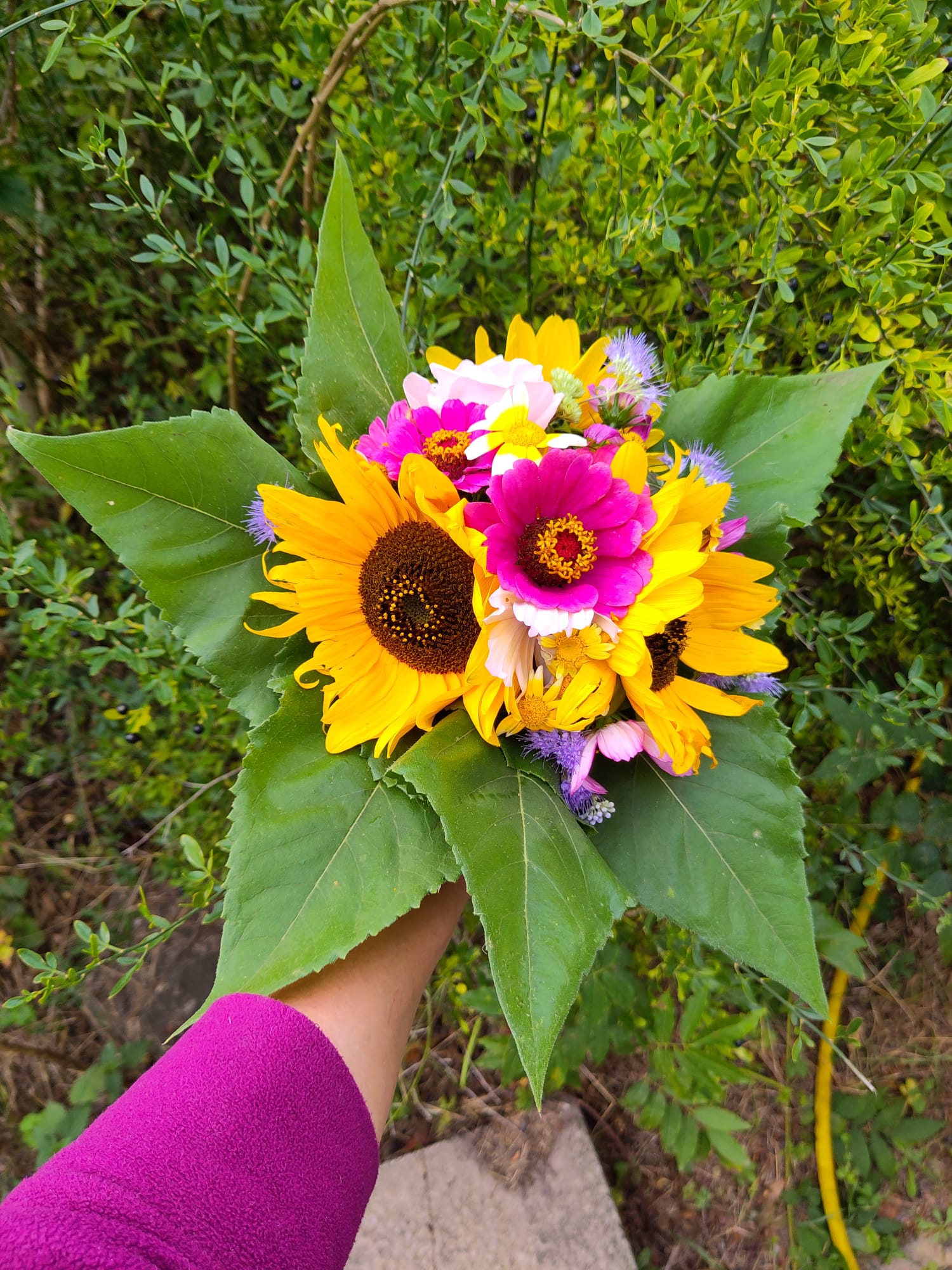 WhatsApp Image 2024-10-01 at 18.10.30 (1)