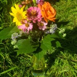 Kräuterstrauß Topf Kräuterstrauß Topf