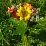 Kräuterstrauß Topf1 Kräuterstrauß Topf1